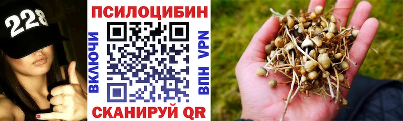 mega зеркало  магазин продажи наркотиков  Любим  Псилоцибиновые грибы Psilocybine cubensis 